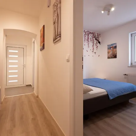 Apartma Senicica *